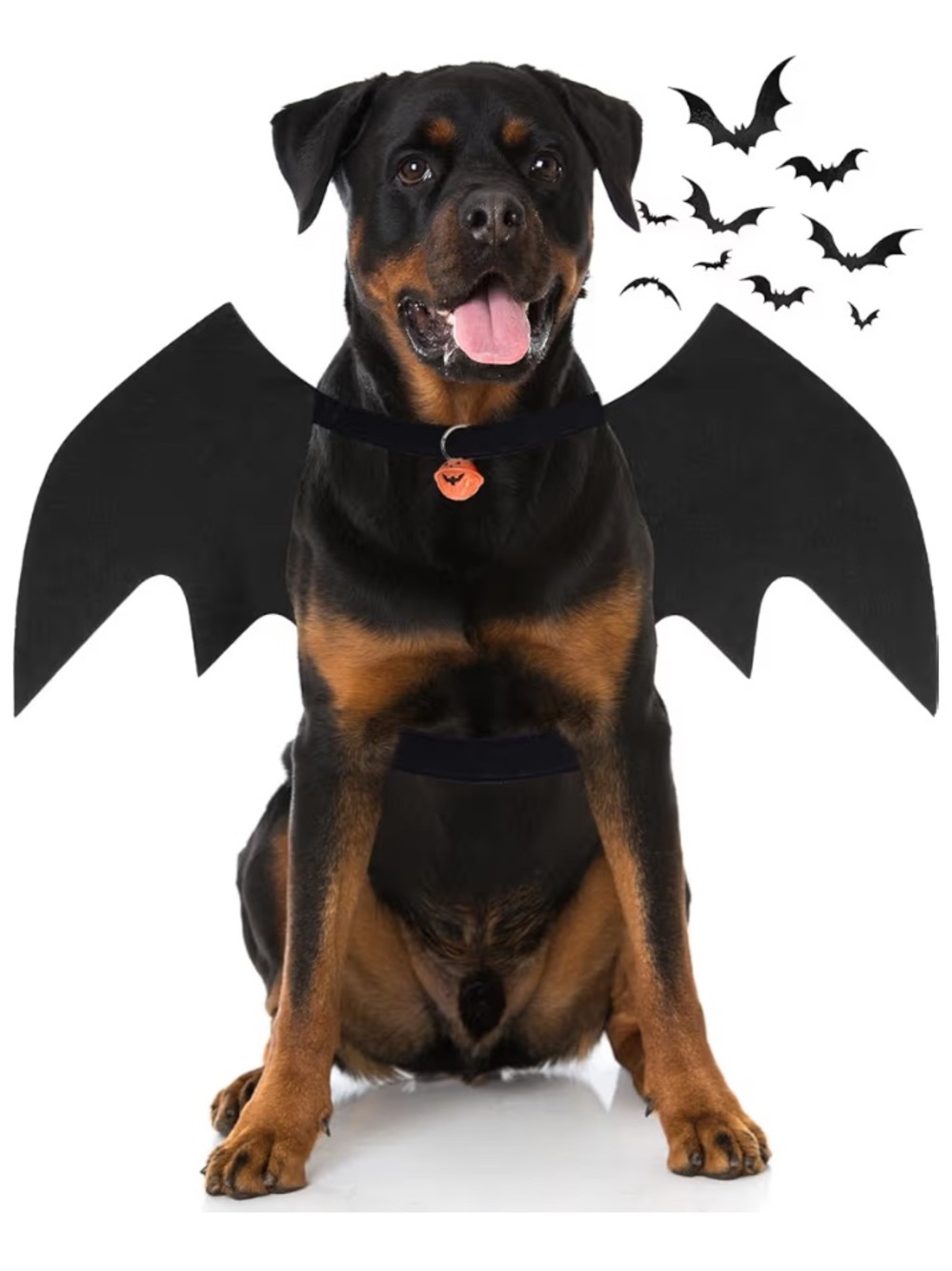Black Bat Wings Dog Costume - Pet Halloween Costume